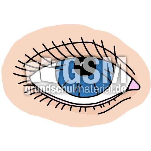 Auge_farb.jpg